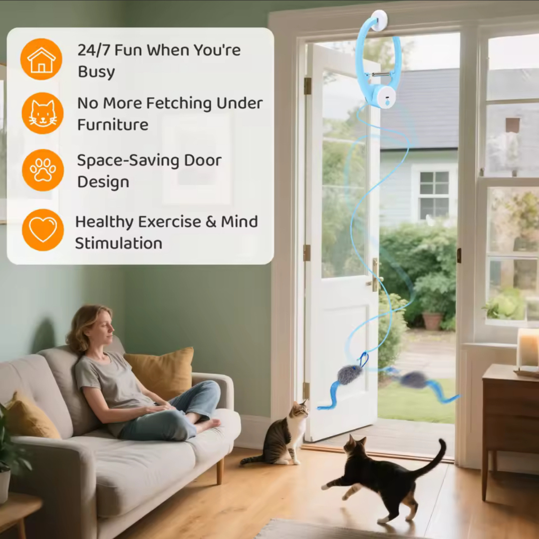 Ikamak - The irresistible toy your cat will be obsessed with in seconds