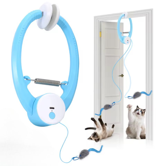 Ikamak - The irresistible toy your cat will be obsessed with in seconds